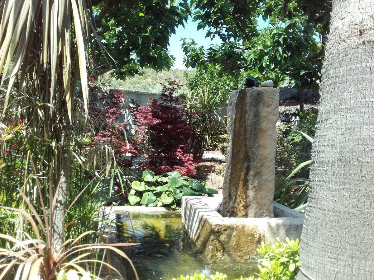 Studios Domaine L'Oliveraie لو كاستليت المظهر الخارجي الصورة